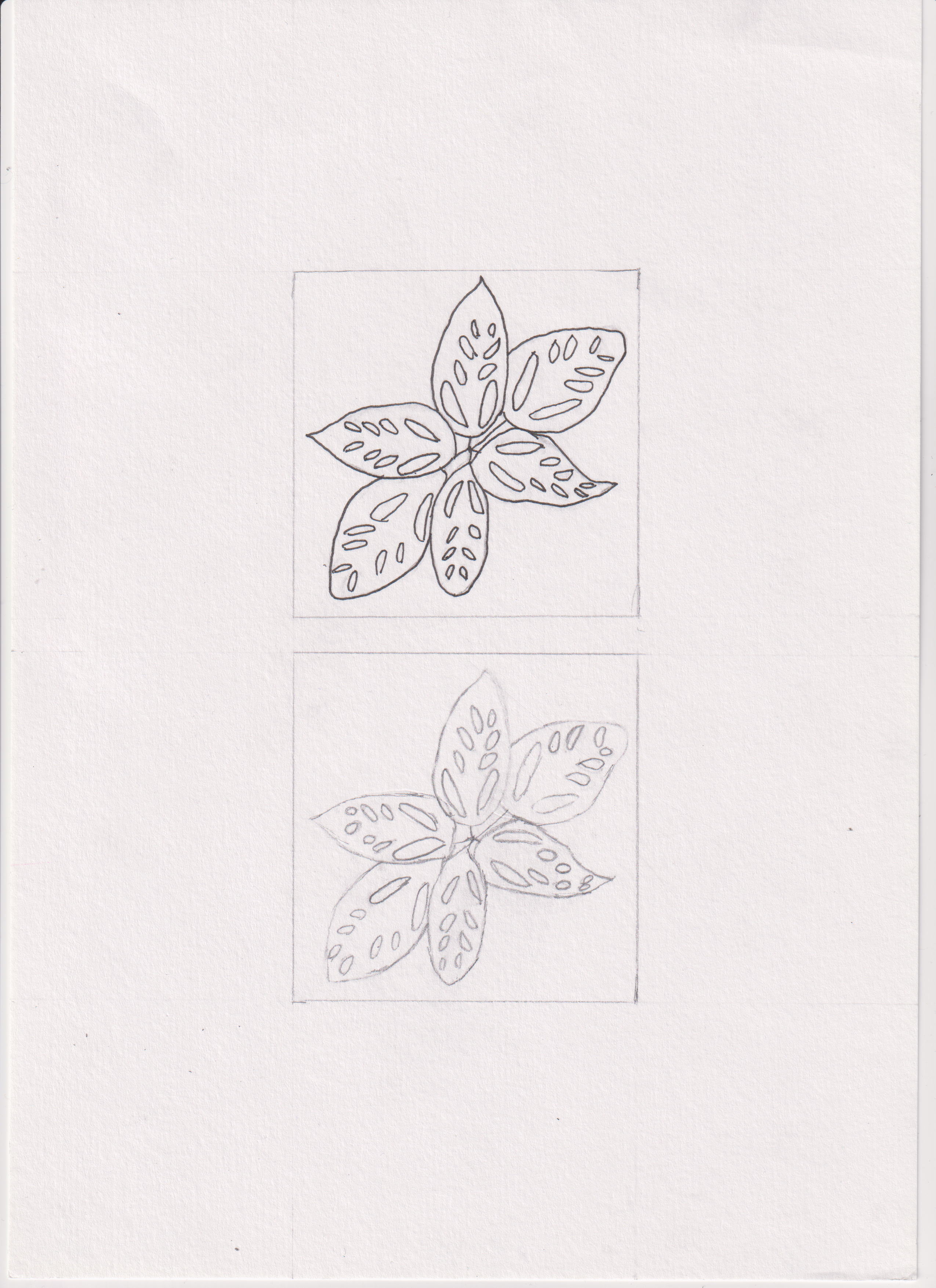 Foto van Patroon Multible